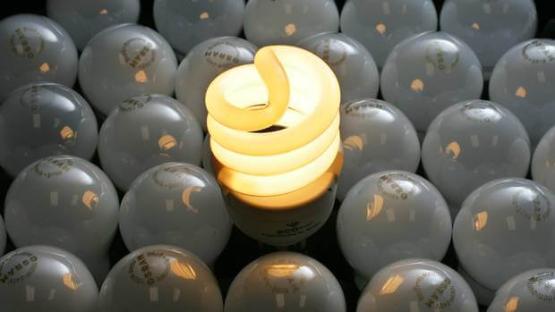 An Ecobulb energy efficient lightbulb amongst frosted incandescent bulbs. Photo by Nzherald.com
